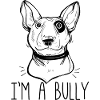 Hund