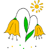 Tulipes au soleil