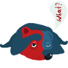 Hund