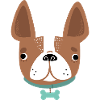 Hund