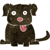 Hund