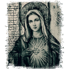 Hulst Maria Maria Madonna Mariana Maagd Maria Heilige
