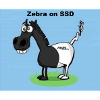 Zebra on SSD