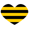 Rodent heart