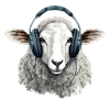 Kigo the music-loving sheep