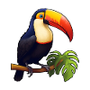 Bird Toucan Comic Style