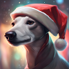 Whippet mit Weihnachtsmannmütze