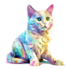 Obi die bunte Katze