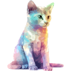 Miki, die bunte Katze