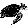Turtle Black & White