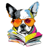 Lassi the learned dog