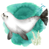 Aquarelle Mignon phoque dans l’océan