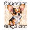 Chihuahua Crazy Person