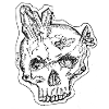 crystal skull