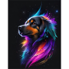 Dog Galaxy