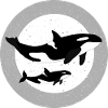Baleine et Orque Illustration