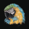Farbiger Papagei mit aquarellartigem Stil