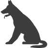 Hund