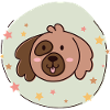 Hund