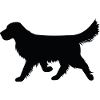 Hund