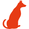 Hund