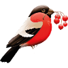 Vogel