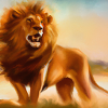 Lion dessins