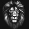 Lion dessins noiret blanc