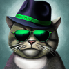 Gangster cat