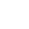 1991 Édition limitée