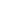 1993 Édition limitée