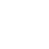 1996 Édition limitée