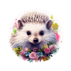 Cute hedgehog