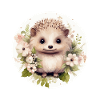 Hérisson mignon