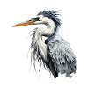 Héron