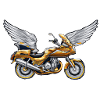 Goldwing Geschenk Geschenkidee