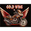 Goldwing Geschenk Geschenkidee