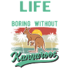 Australisches Känguru Australien Kangaroo