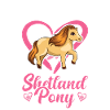 Shetland Pony Cadeau Shetty