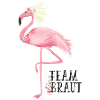 Flamingo Teambraut