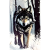 Loup | Prédateur | Chien | Mystique