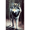 Loup | Prédateur | Chien | Mystique
