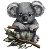 Koala Cute Koala Bear Baby