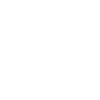 Original 100% Nico