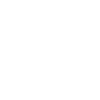 100% Original Max