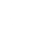 Original 100% Michi