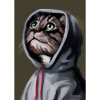 Kapuzenkatze