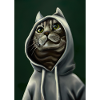 Kapuzenkatze