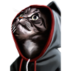 Kapuzenkatze