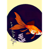 Japanischer Goldfisch